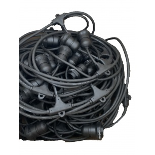 belt1_1979450189